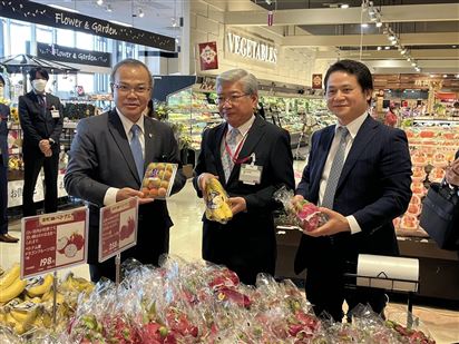 Xin ý kiến góp ý dự thảo workplan chuyển giao kiểm tra trước xuất khẩu các loại quả tươi sang Nhật Bản