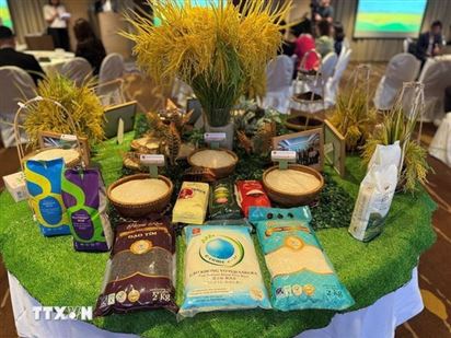 Làm gì để nông sản xuất khẩu tránh xa hệ lụy không đạt chuẩn?