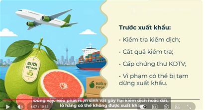  Triển khai Nghị định thư chanh, bưởi – Phần 1: Quá trình đàm phán và nội dung NĐT chanh, bưởi