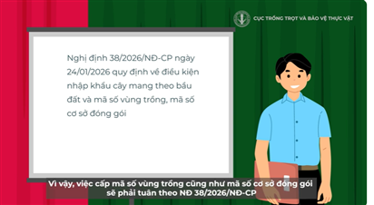 Cấp mã số vùng trồng và cơ sở đóng gói theo Nghị định 38 – Phần 2: Quy định của Nghị định 38