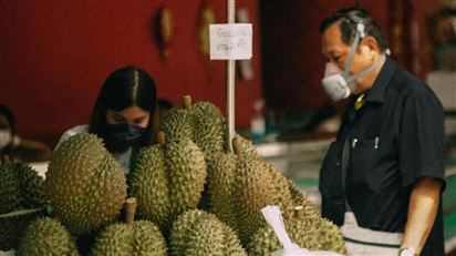 Xuất khẩu sầu riêng Thái Lan đối mặt với nhiều khó khăn do thiếu hụt lao động và các yêu cầu kiểm tra khắt khe