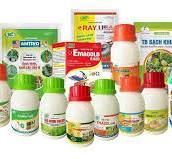 Thông tư số 75/2025/TT-BNNMT: Ban hành Danh mục thuốc bảo vệ thực vật được phép sử dụng tại Việt Nam và Danh mục thuốc bảo vệ thực vật cấm sử dụng tại Việt Nam