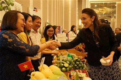 Chanh xanh, bưởi Việt Nam chính thức được xuất khẩu sang New Zealand
