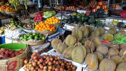 Liên minh mới nhằm thúc đẩy doanh số bán trái cây Thái Lan tại Trung Quốc