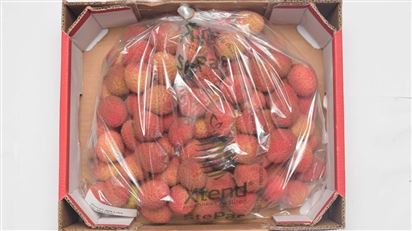 Giải pháp đóng gói của StePacPPC khai phá tiềm năng của trái cây nhiệt đới tại Trung Quốc như thế nào?